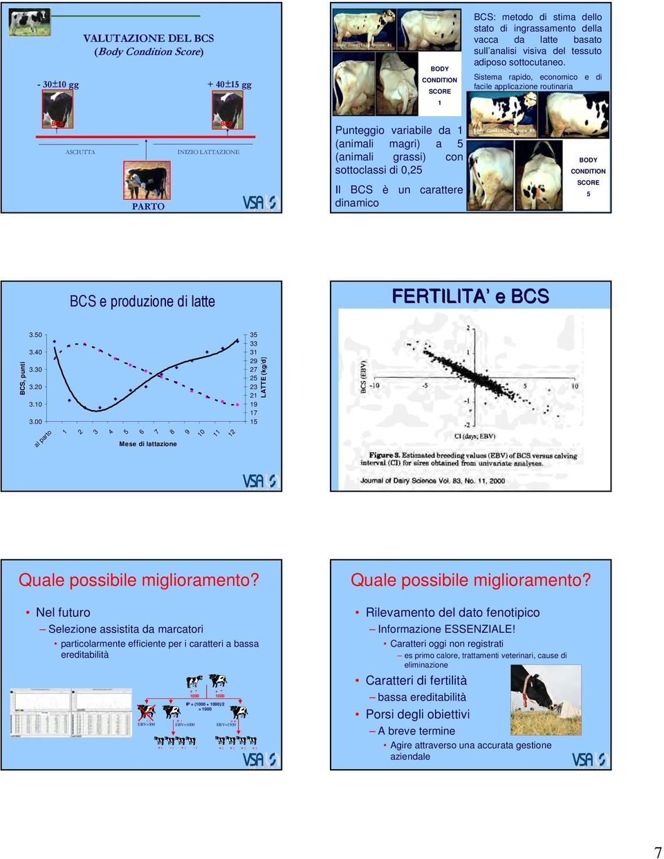 Sistema rapido, economico e di facile applicazione routinaria BCS ASCIUTTA PARTO BCS INIZIO LATTAZIONE Punteggio variabile da 1 (animali magri) a (animali grassi) con sottoclassi di 0, Il BCS è