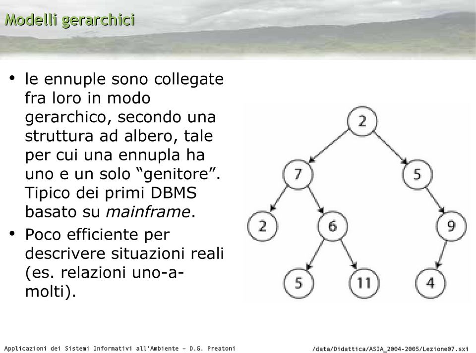 ha uno e un solo genitore. Tipico dei primi DBMS basato su mainframe.