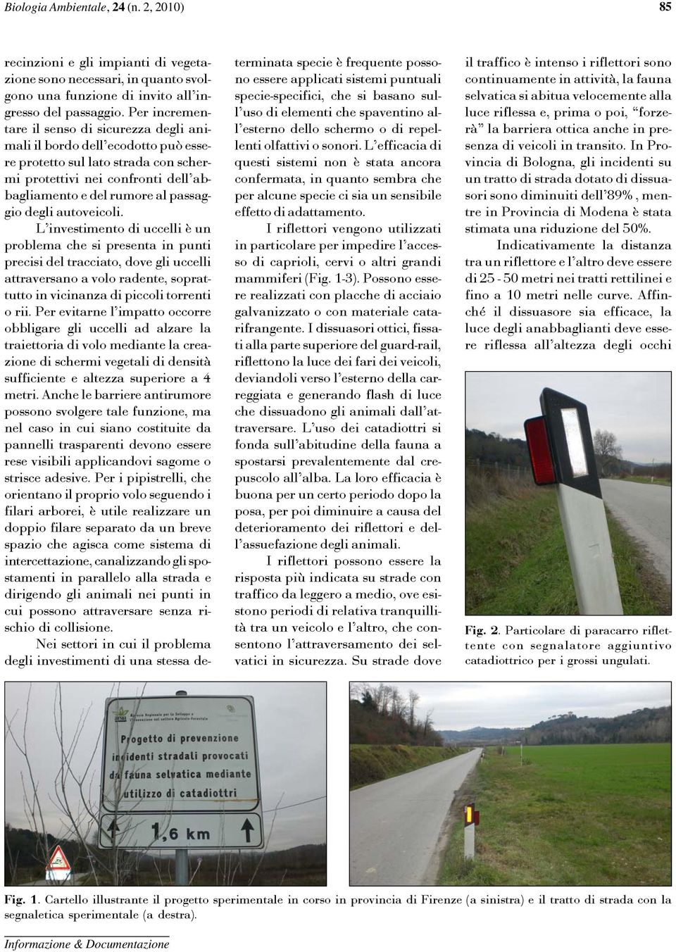 autoveicoli. L investimento di uccelli è un problema che si presenta in punti precisi del tracciato, dove gli uccelli attraversano a volo radente, soprattutto in vicinanza di piccoli torrenti o rii.