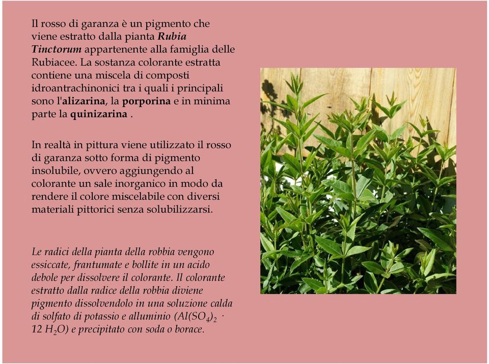 In realtà in pittura viene utilizzato il rosso di garanza sotto forma di pigmento insolubile, ovvero aggiungendo al colorante un sale inorganico in modo da rendere il colore miscelabile con diversi