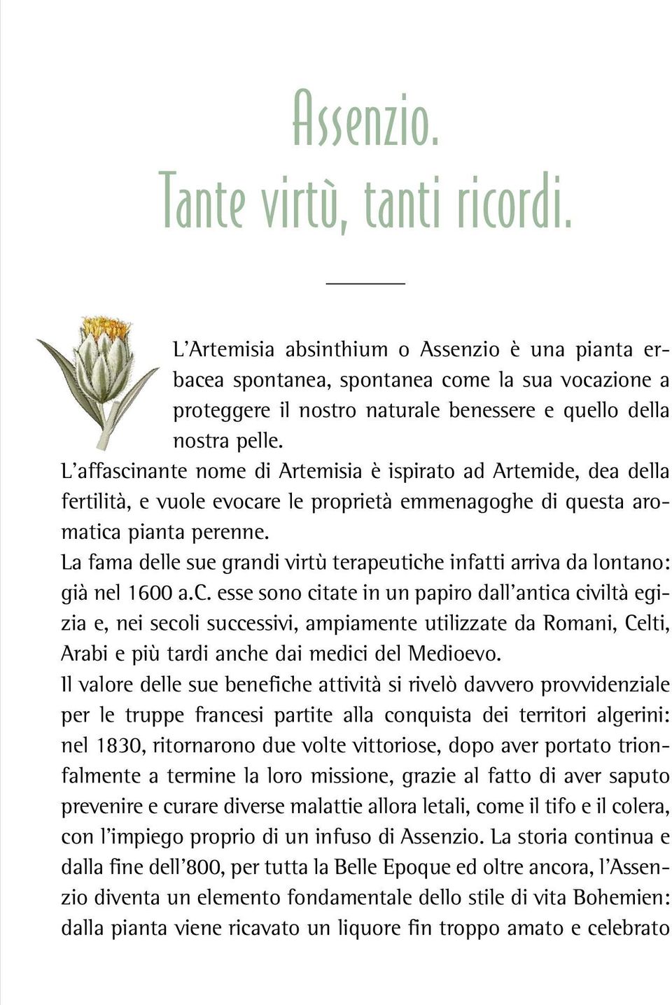 L affascinante nome di Artemisia è ispirato ad Artemide, dea della fertilità, e vuole evocare le proprietà emmenagoghe di questa aromatica pianta perenne.