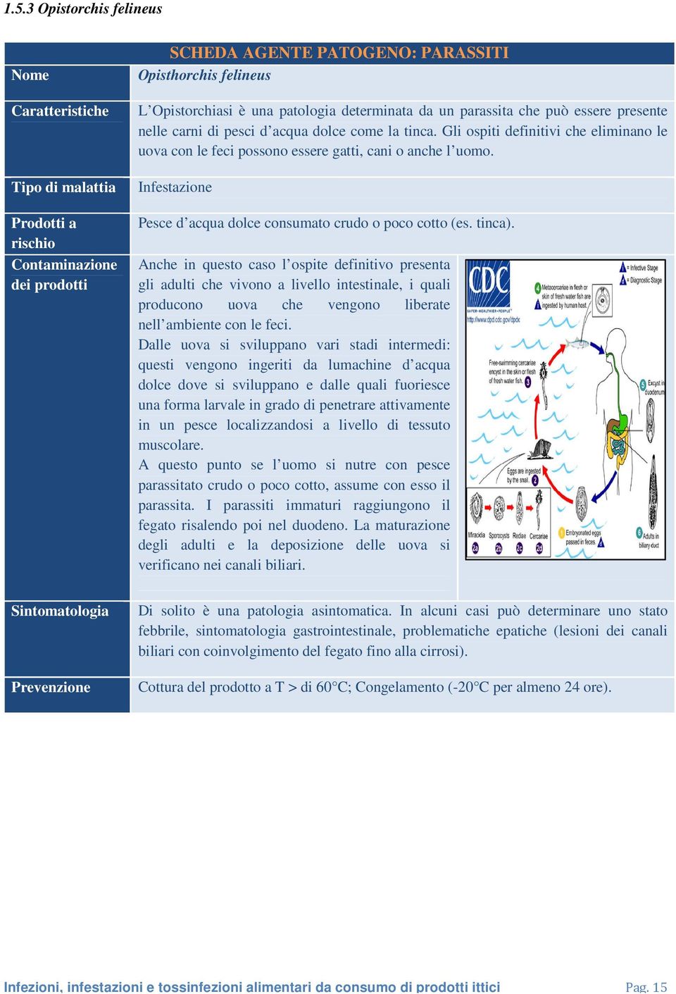 Anche in questo caso l ospite definitivo presenta gli adulti che vivono a livello intestinale, i quali producono uova che vengono liberate nell ambiente con le feci.