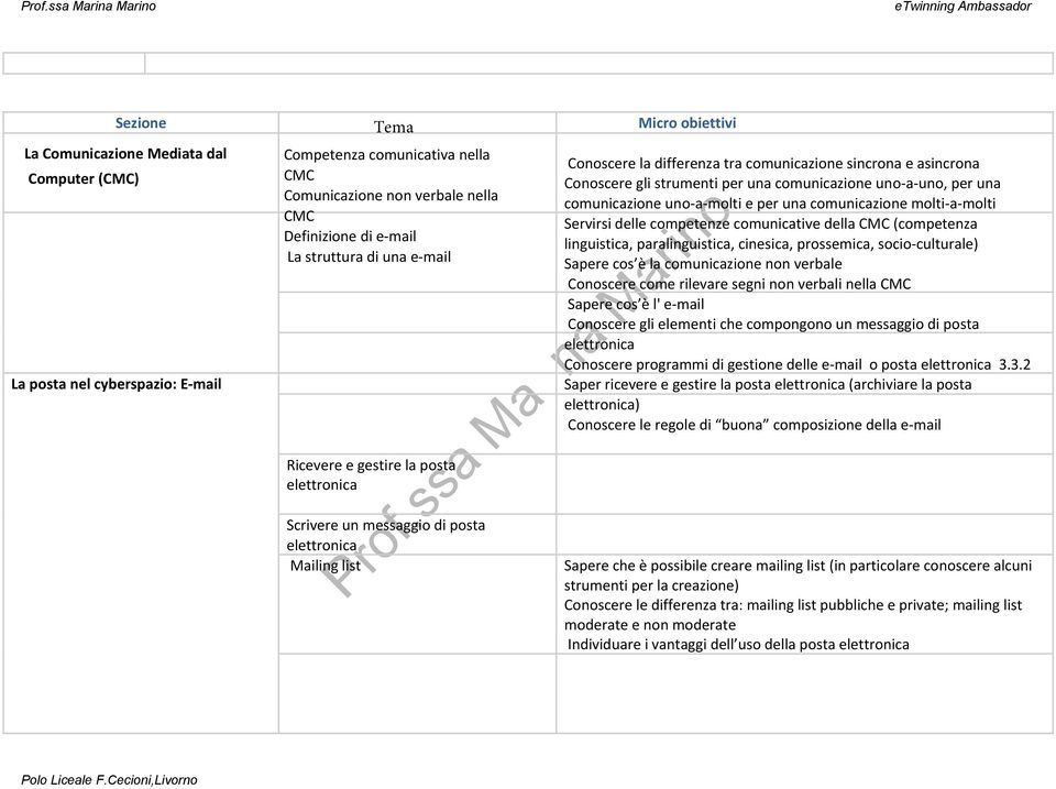 strumenti per una comunicazione uno a uno, per una comunicazione uno a molti e per una comunicazione molti a molti Servirsi delle competenze comunicative della CMC (competenza linguistica,