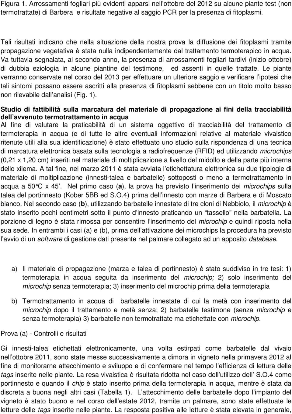 Va tuttavia segnalata, al secondo anno, la presenza di arrossamenti fogliari tardivi (inizio ottobre) di dubbia eziologia in alcune piantine del testimone, ed assenti in quelle trattate.