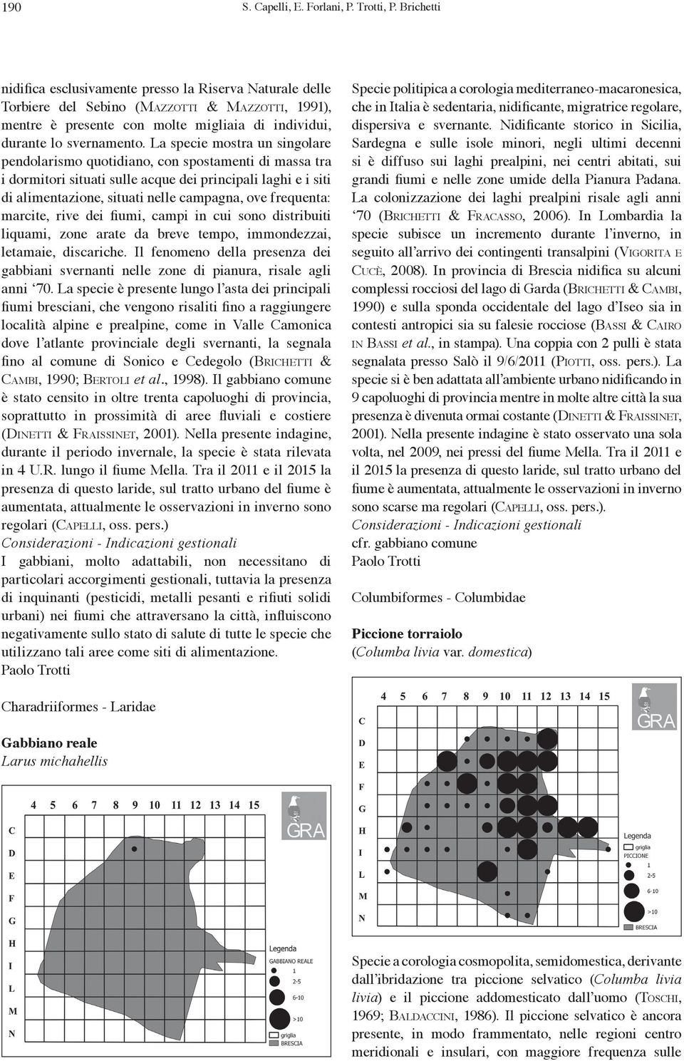 La specie mostra un singolare pendolarismo quotidiano, con spostamenti di massa tra i dormitori situati sulle acque dei principali laghi e i siti di alimentazione, situati nelle campagna, ove