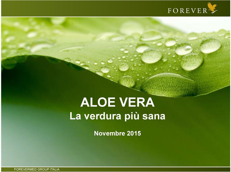 ALOE VERA La