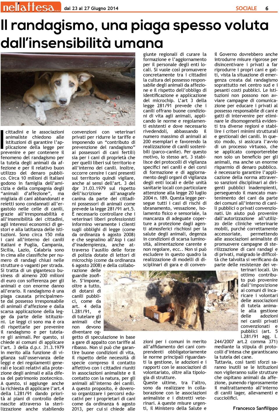 Circa 10 milioni di italiani godono in famiglia dell amicizia e della compagnia degli animali d affezione, ma migliaia di cani abbandonati e reietti sono condannati all ergastolo nelle celle di