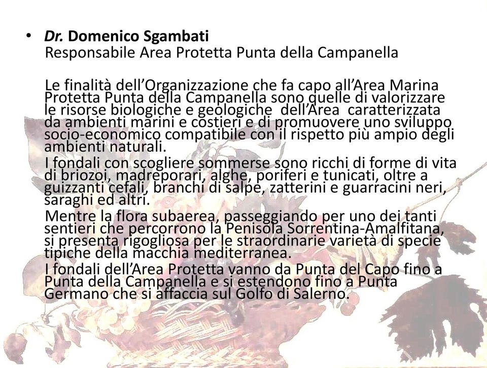 I fondali con scogliere sommerse sono ricchi di forme di vita di briozoi, madreporari, alghe, poriferi e tunicati, oltre a guizzanti cefali, branchi di salpe, zatterini e guarracini neri, saraghi ed