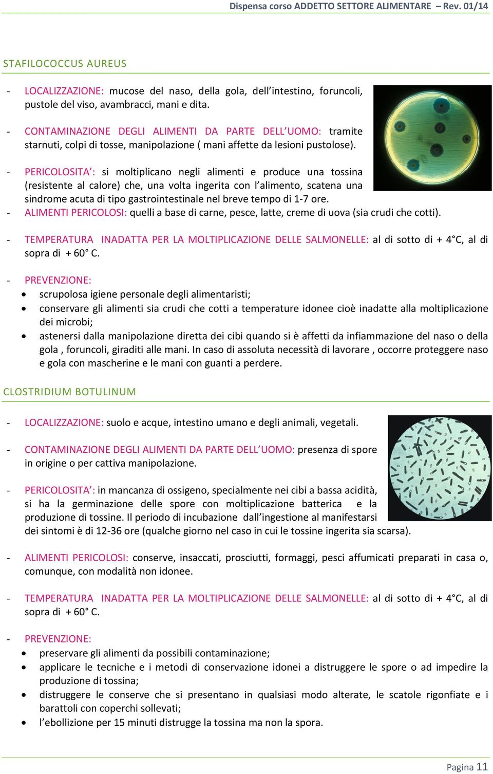 - PERICOLOSITA : si moltiplicano negli alimenti e produce una tossina (resistente al calore) che, una volta ingerita con l alimento, scatena una sindrome acuta di tipo gastrointestinale nel breve