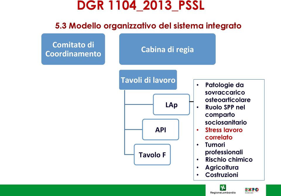 Cabina di regia Tavoli di lavoro LAp API Tavolo F Patologie da sovraccarico