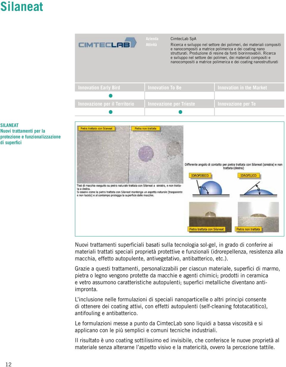 Ricerca e sviluppo nel settore dei polimeri, dei materiali compositi e nanocompositi a matrice polimerica e dei coating nanostrutturati Innovation Early Bird Innovation To Be Innovation in the Market