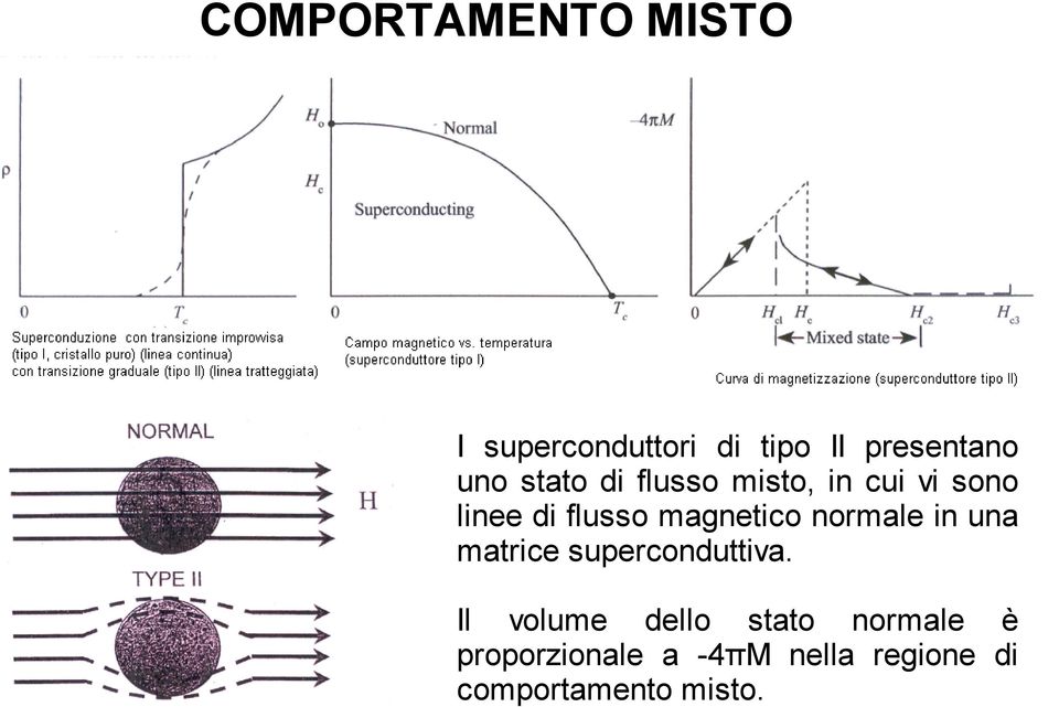 normale in una matrice superconduttiva.