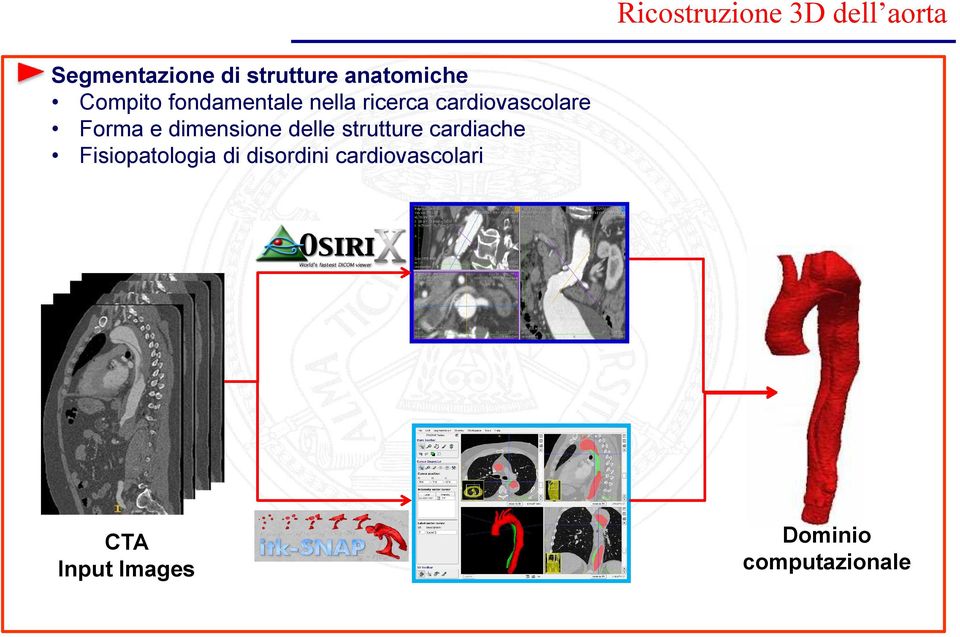 Forma e dimensione delle strutture cardiache Fisiopatologia