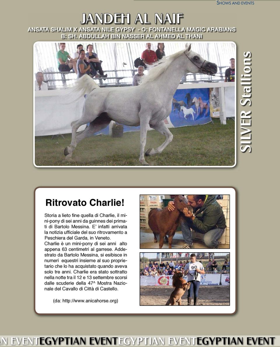 E infatti arrivata la notizia ufficiale del suo ritrovamento a Peschiera del Garda, in Veneto. Charlie è un mini-pony di sei anni alto appena 63 centimetri al garrese.