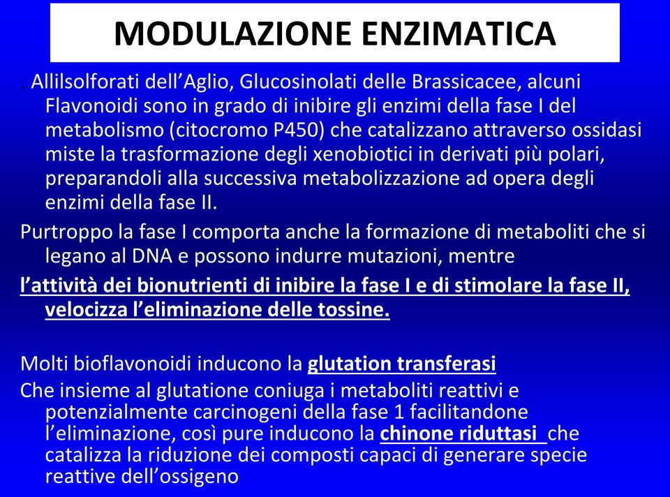 miste la trasformazione degli xenobiotici in derivati più polari, preparandoli alla successiva metabolizzazione ad opera degli enzimi della fase II.