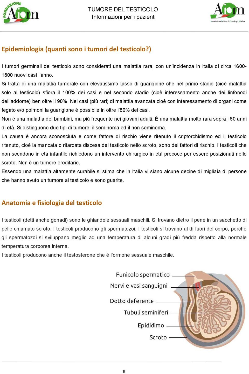 dei linfonodi dell addome) ben oltre il 90%. Nei casi (più rari) di malattia avanzata cioè con interessamento di organi come fegato e/o polmoni la guarigione è possibile in oltre l 80% dei casi.