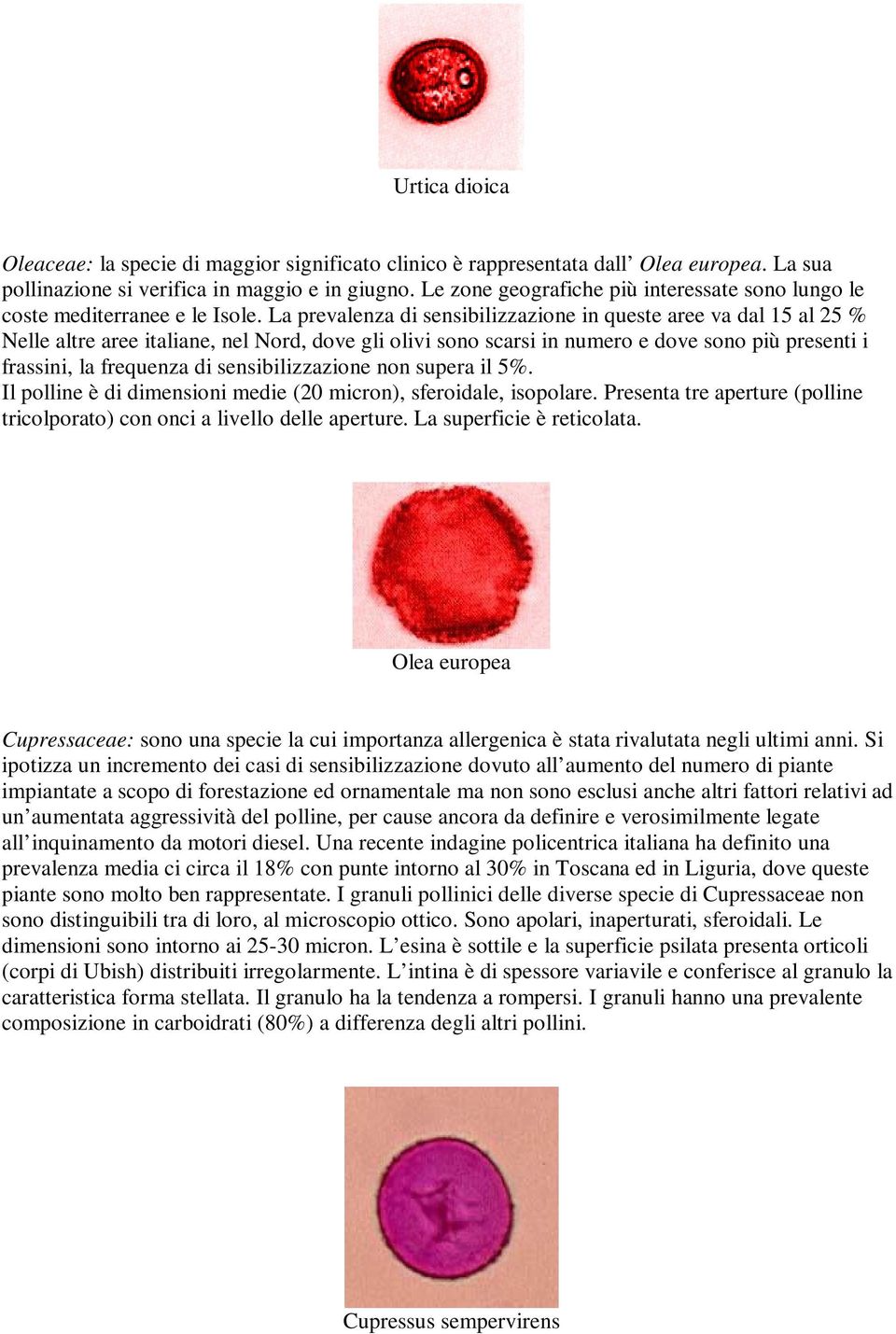 La prevalenza di sensibilizzazione in queste aree va dal 15 al 25 % Nelle altre aree italiane, nel Nord, dove gli olivi sono scarsi in numero e dove sono più presenti i frassini, la frequenza di