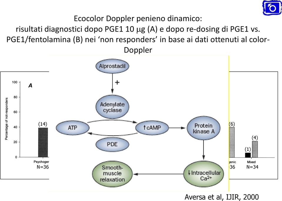 PGE1/fentolamina (B) nei non responders in base ai dati ottenuti al color-