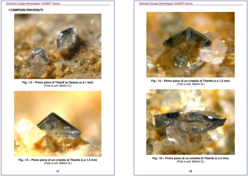 : 15 Primo piano di un cristallo di Titanite (c.a 1,5 mm) Fig.