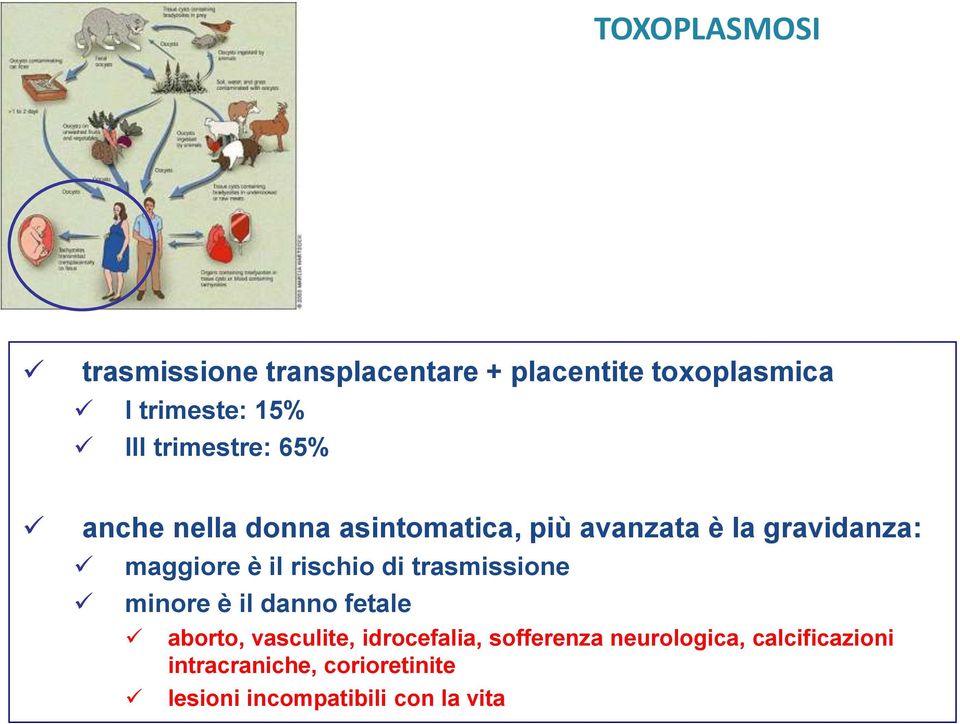 rischio di trasmissione minore è il danno fetale aborto, vasculite, idrocefalia,