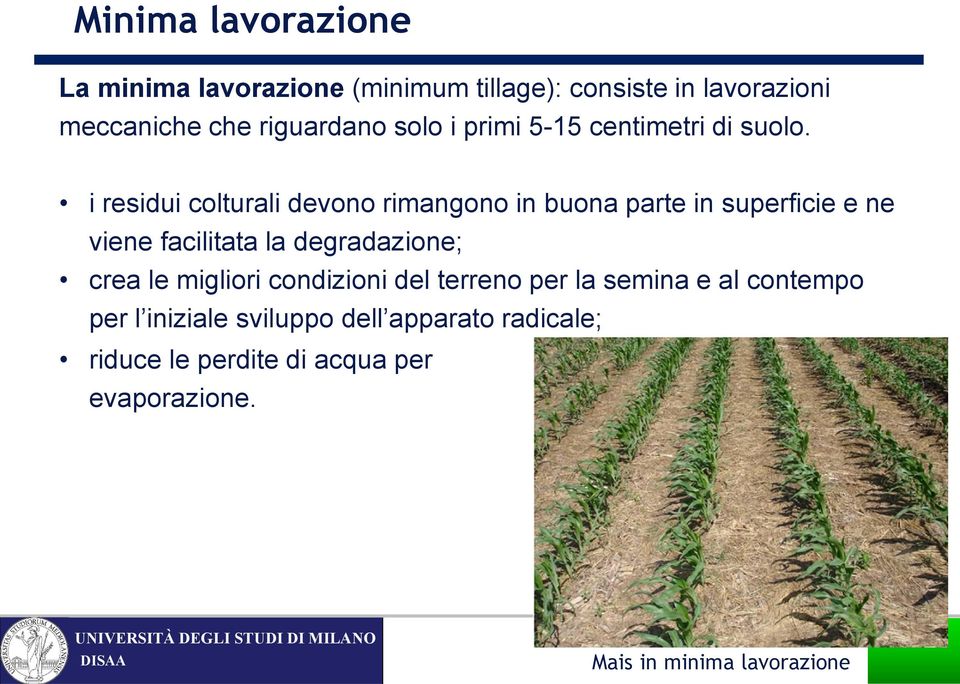 i residui colturali devono rimangono in buona parte in superficie e ne viene facilitata la degradazione; crea