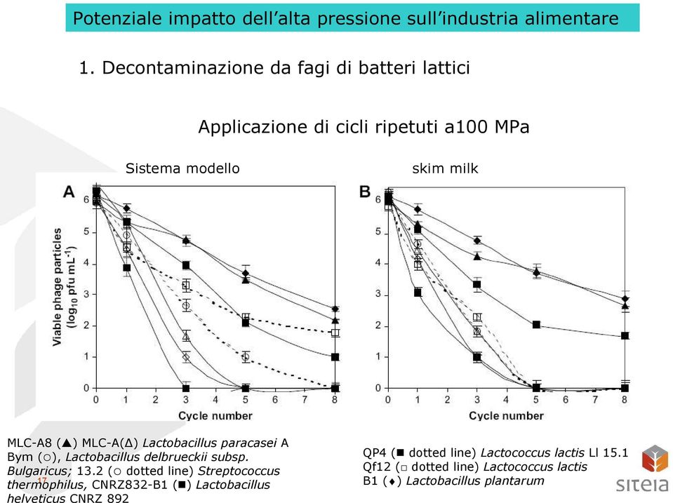 MLC-A( ) Lactobacillus paracasei A Bym ( ), Lactobacillus delbrueckii subsp. Bulgaricus; 13.