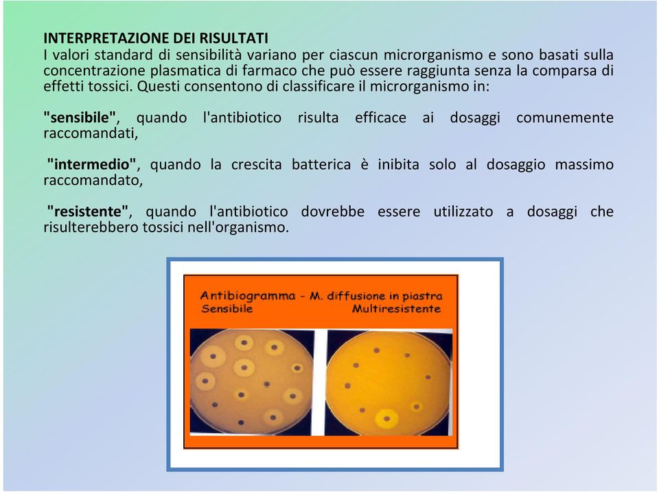 Questi consentono di classificare il microrganismo in: "sensibile", quando l'antibiotico risulta efficace ai dosaggi comunemente