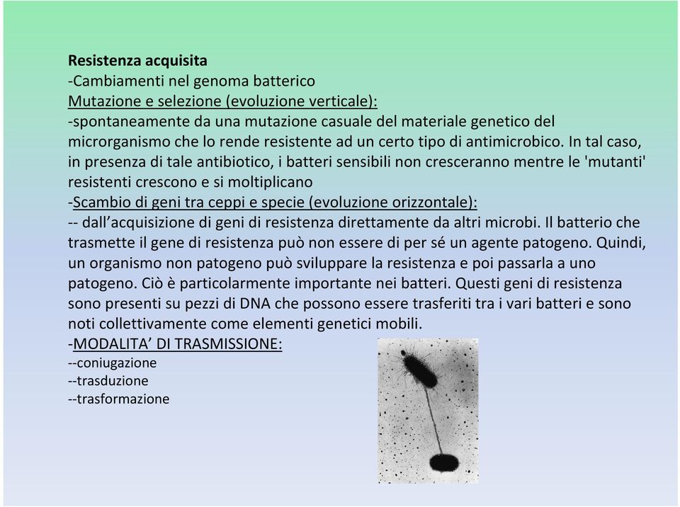 In tal caso, in presenza di tale antibiotico, i batteri sensibili non cresceranno mentre le 'mutanti' resistenti crescono e si moltiplicano Scambio di geni tra ceppi e specie (evoluzione