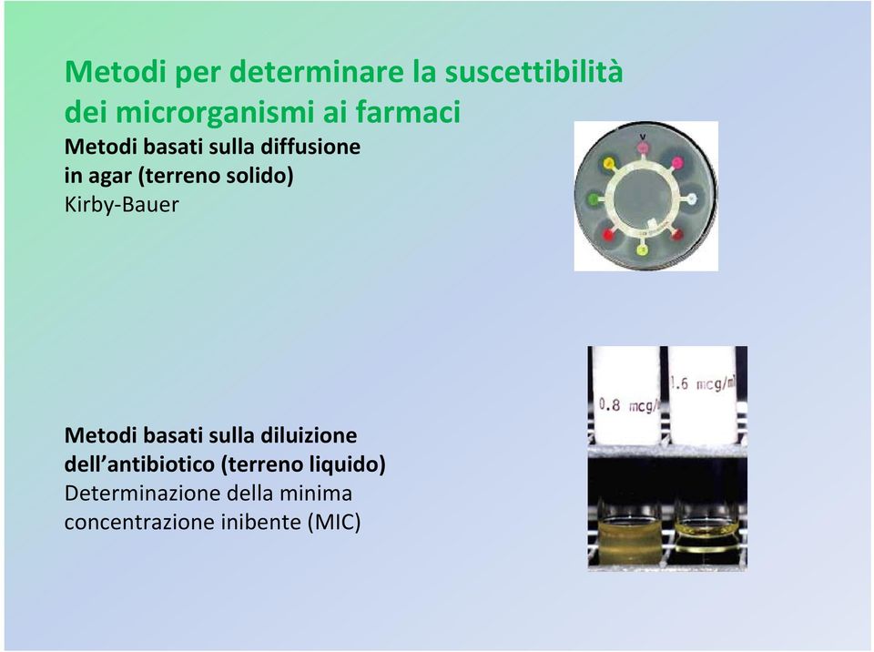 Kirby Bauer Metodi basati sulla diluizione dell antibiotico