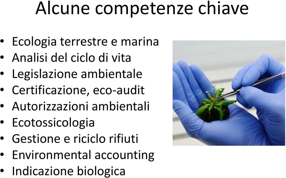 eco-audit Autorizzazioni ambientali Ecotossicologia Gestione