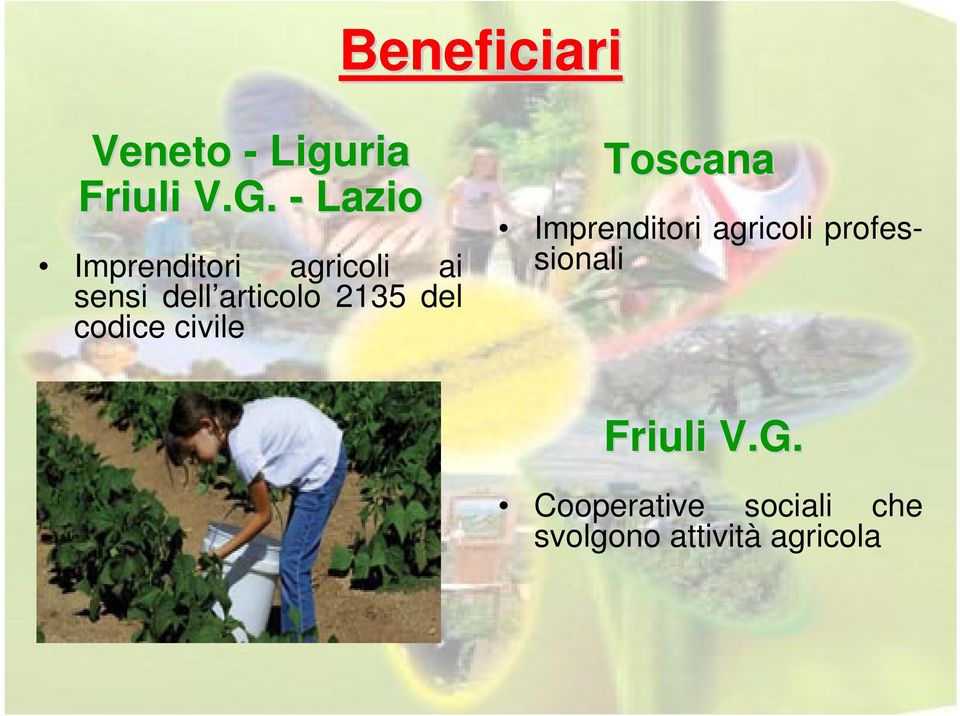 2135 del codice civile Toscana Imprenditori agricoli