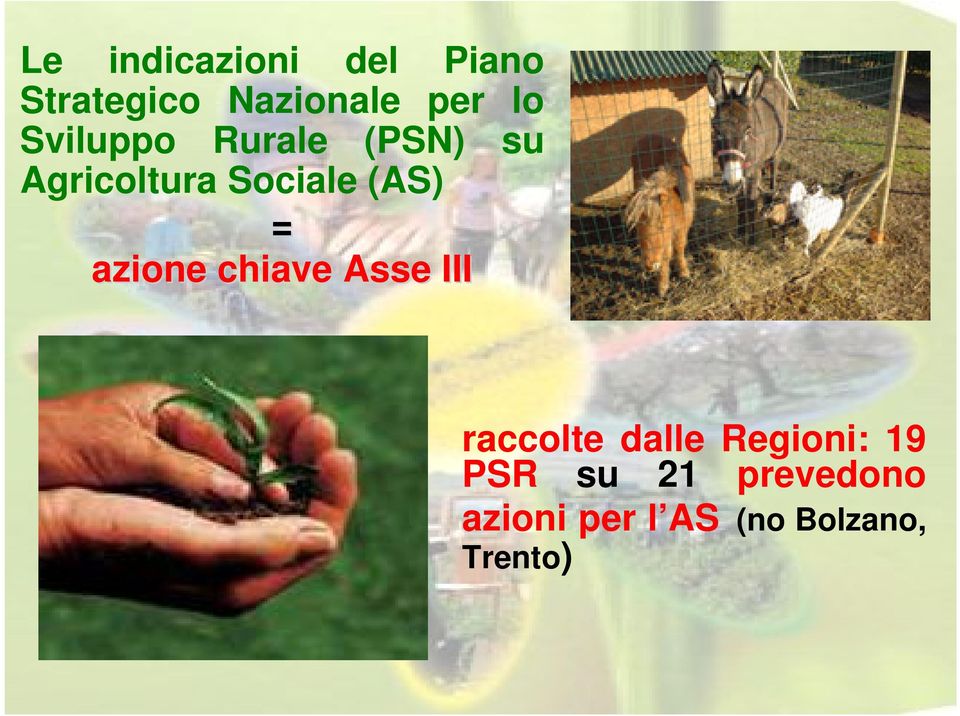 azione chiave Asse III raccolte dalle Regioni: 19