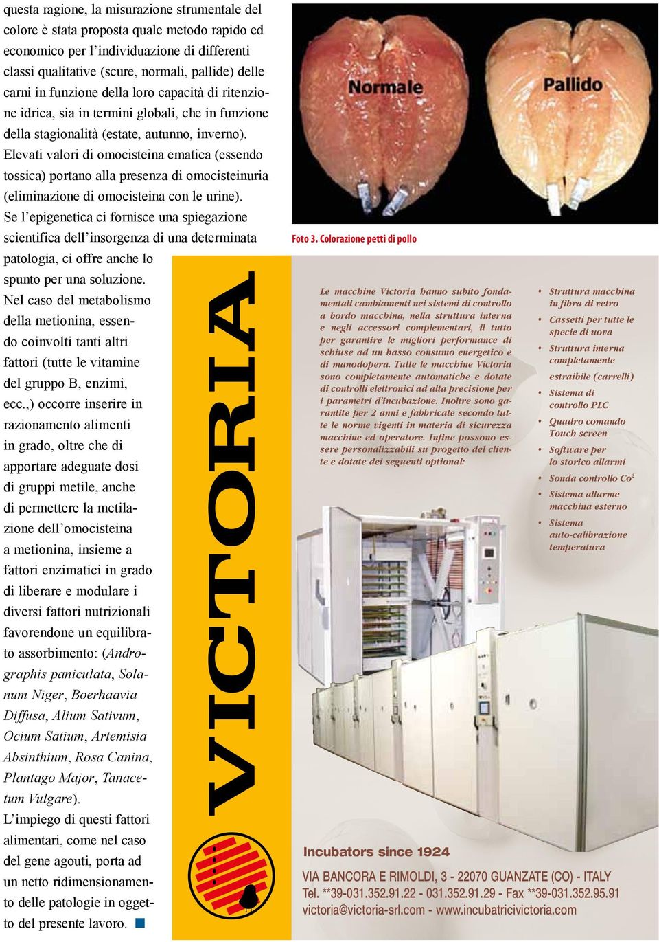 Elevati valori di omocisteina ematica (essendo tossica) portano alla presenza di omocisteinuria (eliminazione di omocisteina con le urine).