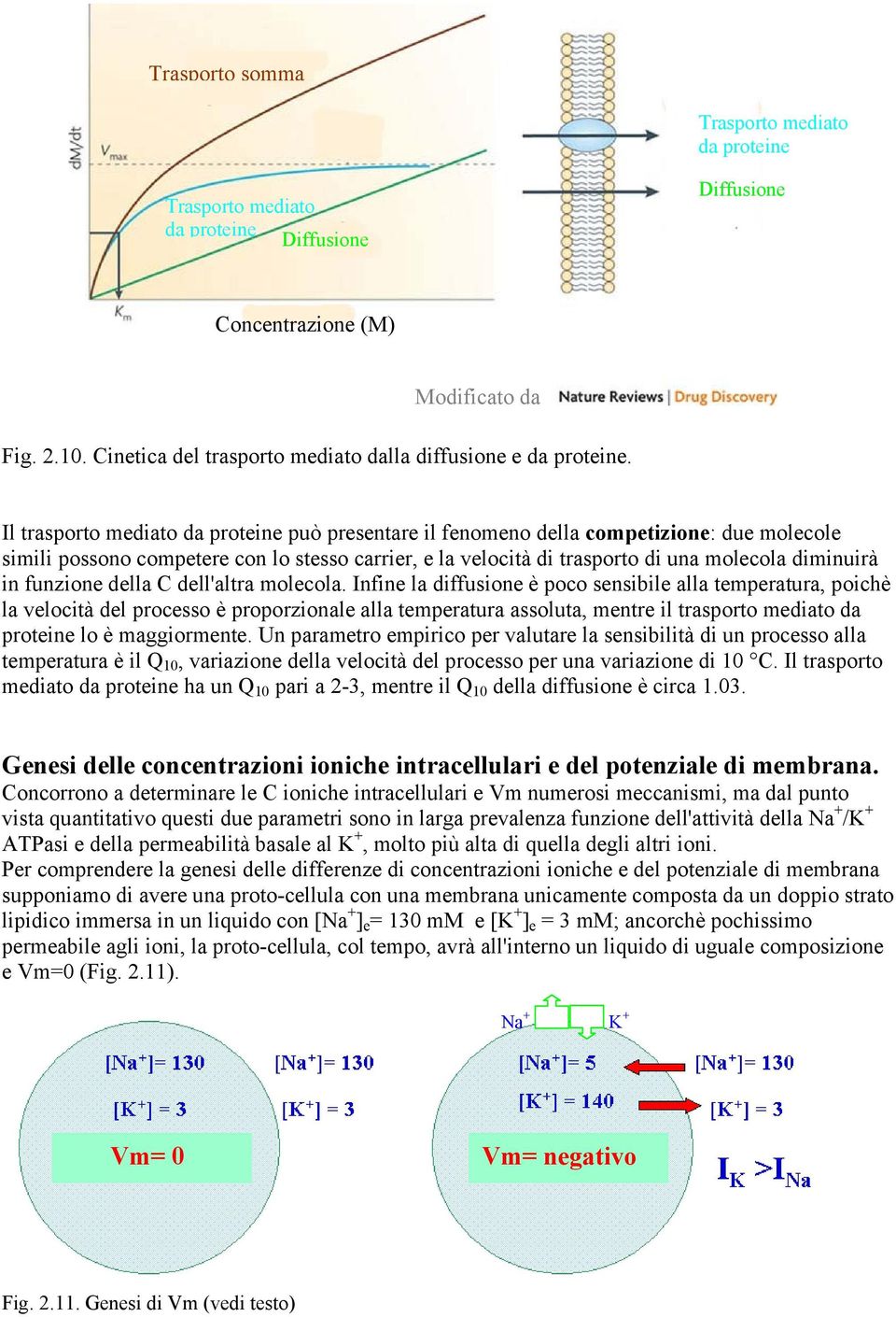 Il trasporto mediato da proteine può presentare il fenomeno della competizione: due molecole simili possono competere con lo stesso carrier, e la velocità di trasporto di una molecola diminuirà in