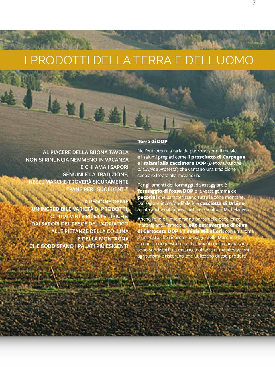 esigenti Terra di DOP Nell entroterra a farla da padrone sono il maiale e i salumi pregiati come il prosciutto di Carpegna e i salami alla cacciatora DOP (Denominazione di Origine Protetta) che