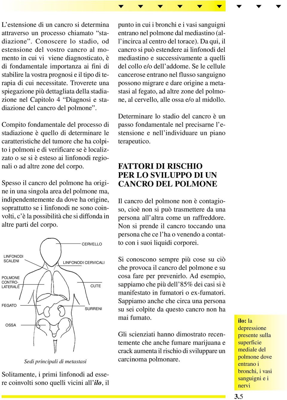 necessitate. Troverete una spiegazione più dettagliata della stadiazione nel Capitolo 4 Diagnosi e stadiazione del cancro del polmone.