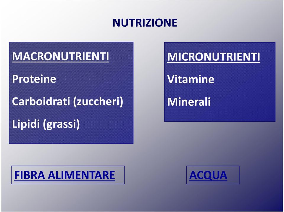 Lipidi (grassi) MICRONUTRIENTI