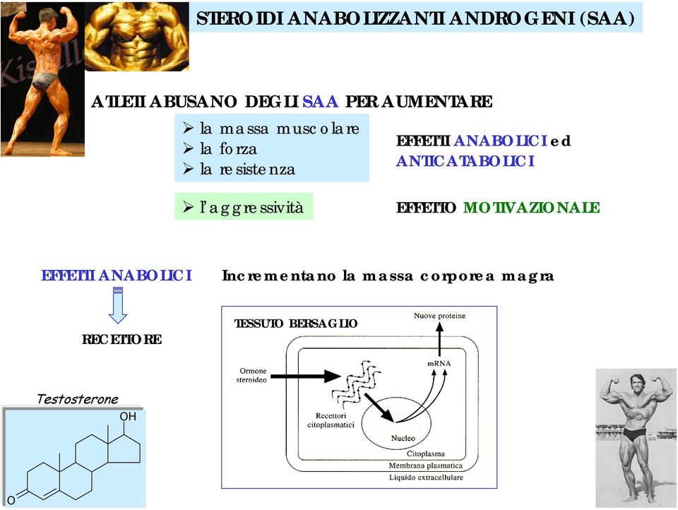 EFFETTI ANABLICI ed ANTICATABLICI EFFETT MTIVAZINALE EFFETTI