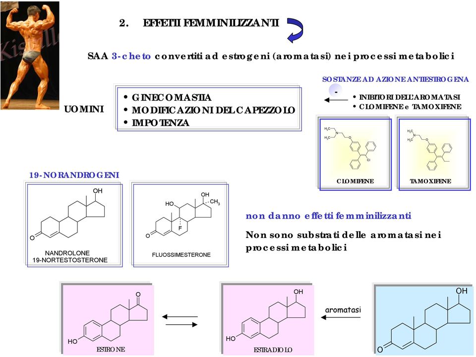 CLMIFENE e TAMXIFENE 3 C N 3 C Cl 19-NRANDRGENI NANDRLNE 19-NRTESTSTERNE F FLUSSIMESTERNE CLMIFENE non danno