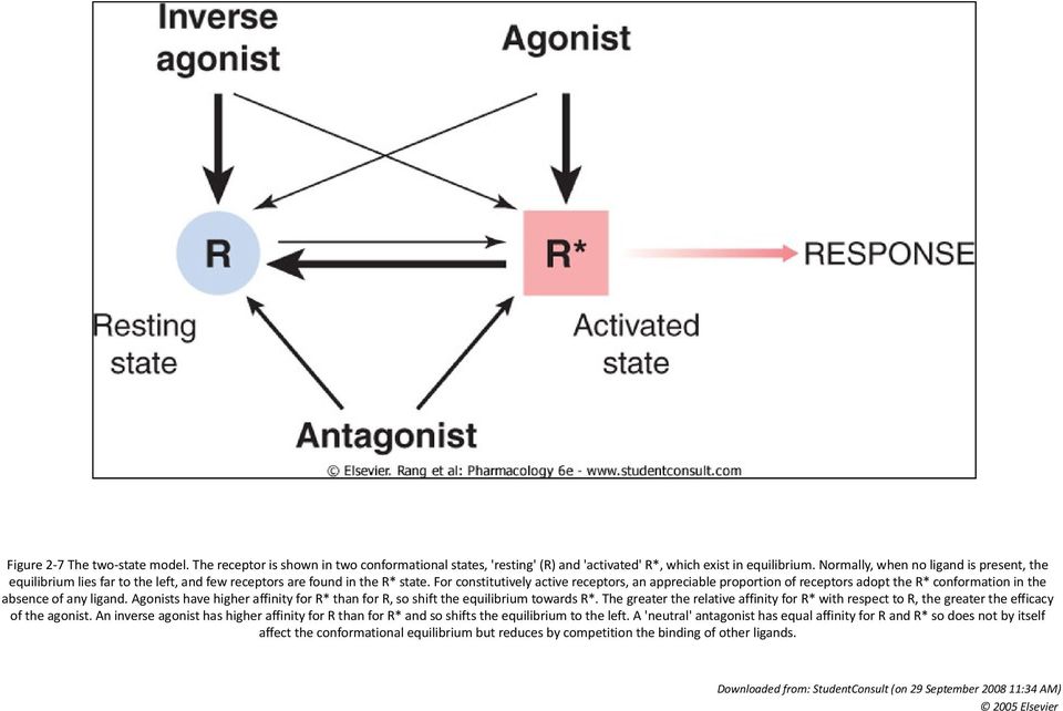 For constitutively active receptors, an appreciable proportion of receptors adopt the R* conformation in the absence of any ligand.