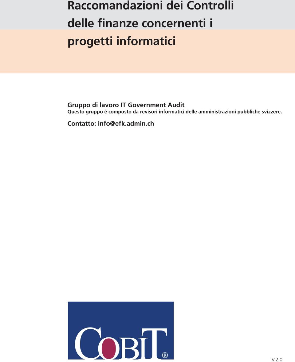 Questo gruppo è composto da revisori informatici delle