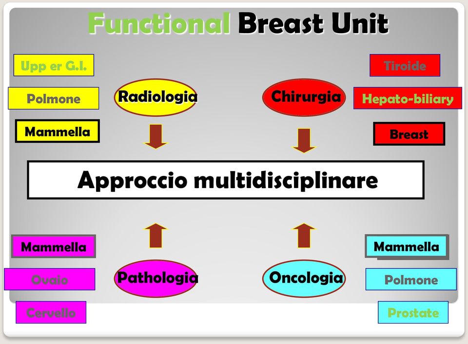 Mammella Breast Approccio multidisciplinare