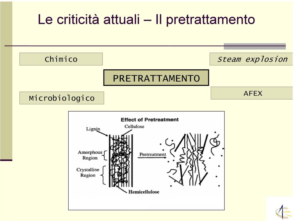 Microbiologico