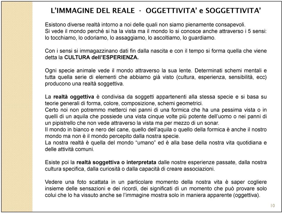 Con i sensi si immagazzinano dati fin dalla nascita e con il tempo si forma quella che viene detta la CULTURA dell ESPERIENZA. Ogni specie animale vede il mondo attraverso la sua lente.