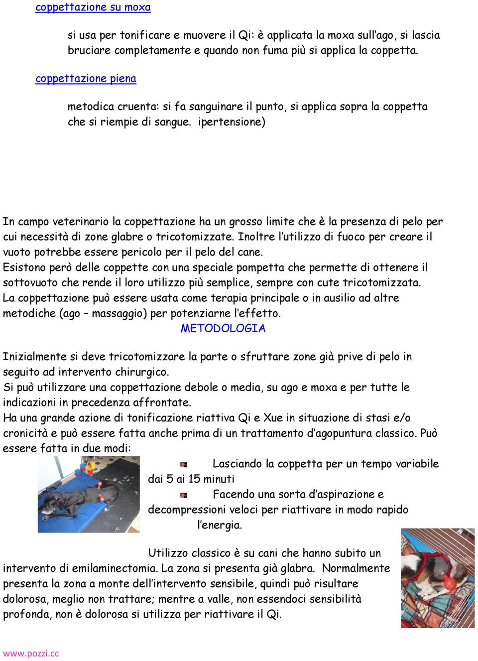 ipertensione) In campo veterinario la coppettazione ha un grosso limite che è la presenza di pelo per cui necessità di zone glabre o tricotomizzate.