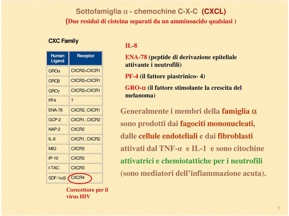 derivazione epiteliale attivante i neutrofili) PF-4 (il fattore piastrinico- 4) GRO-α (il fattore stimolante la crescita del melanoma) Generalmente i membri della famiglia α sono prodotti