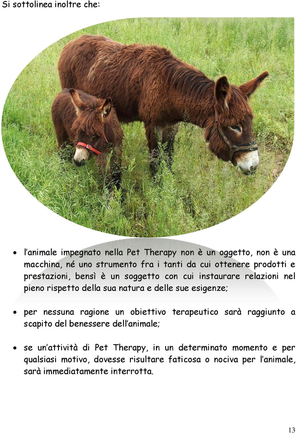 esigenze; per nessuna ragione un obiettivo terapeutico sarà raggiunto a scapito del benessere dell animale; se un attività di Pet