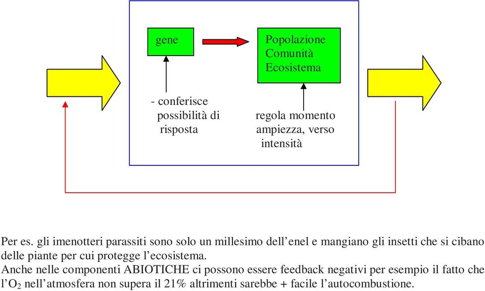 gli imenotteri parassiti sono solo un millesimo dell enel e mangiano gli insetti che si cibano delle piante