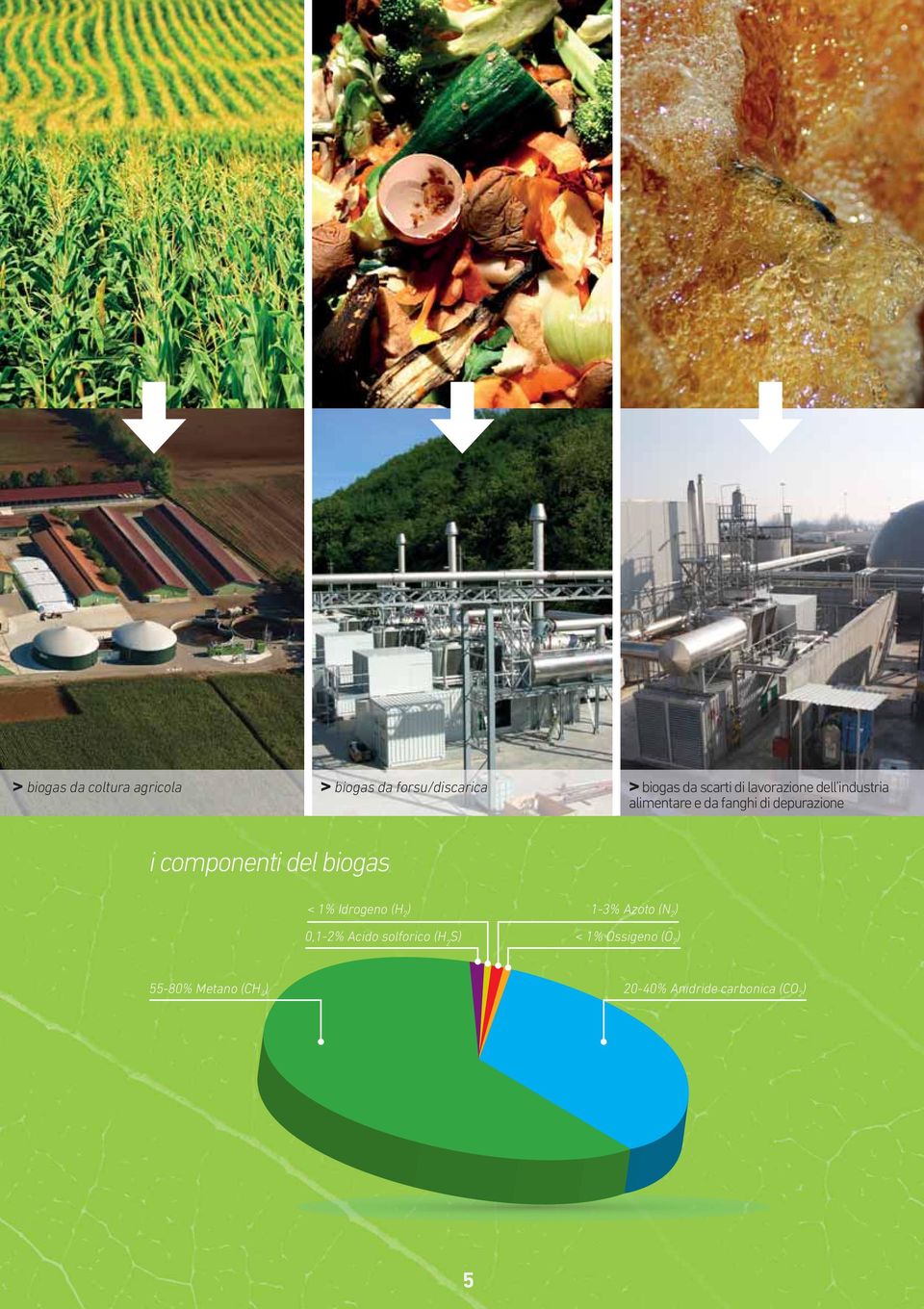 componenti del biogas < 1% Idrogeno (H 2 ) 13% Azoto (N 2 ) 0,12% Acido