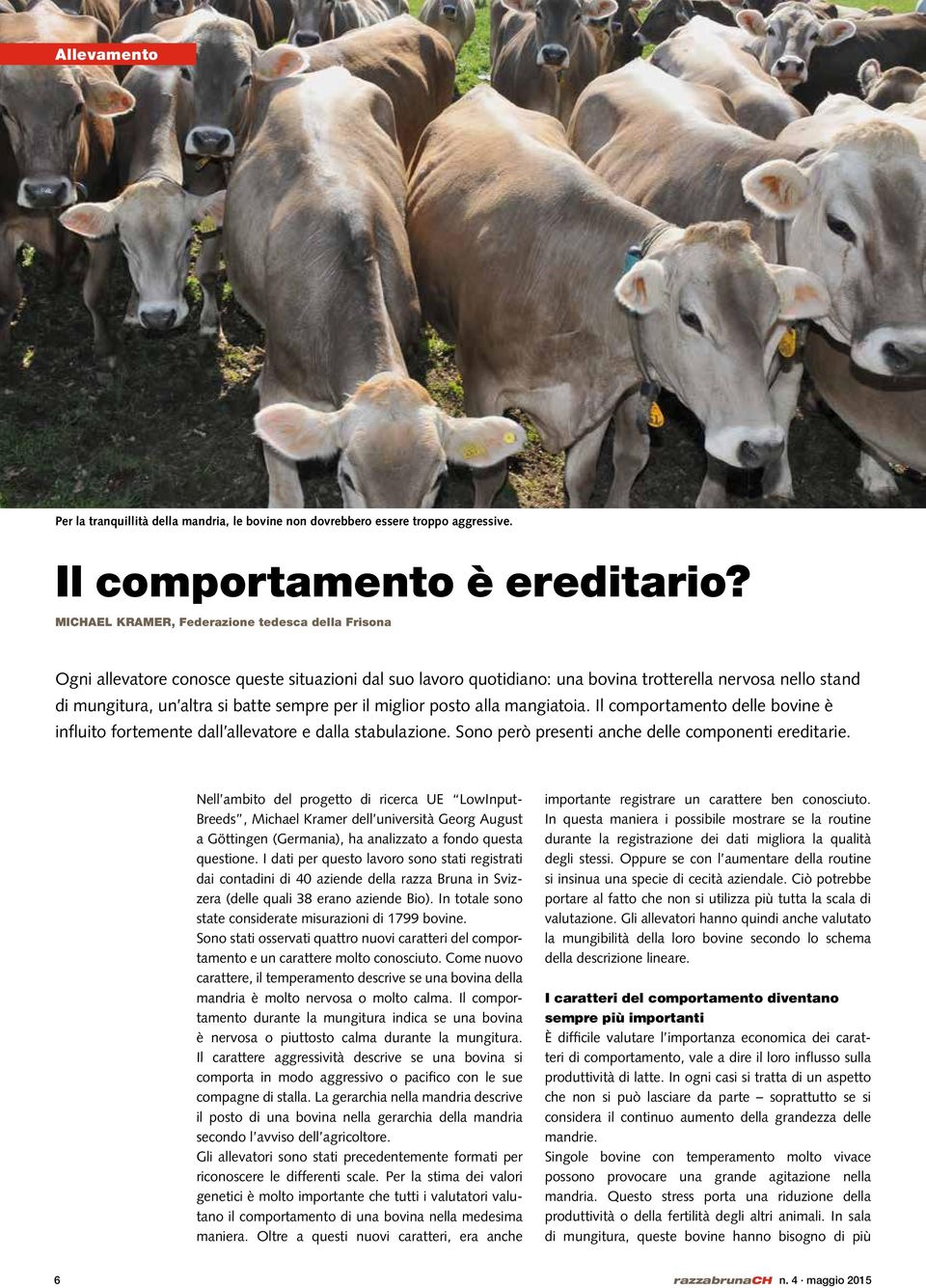 sempre per il miglior posto alla mangiatoia. Il comportamento delle bovine è influito fortemente dall allevatore e dalla stabulazione. Sono però presenti anche delle componenti ereditarie.